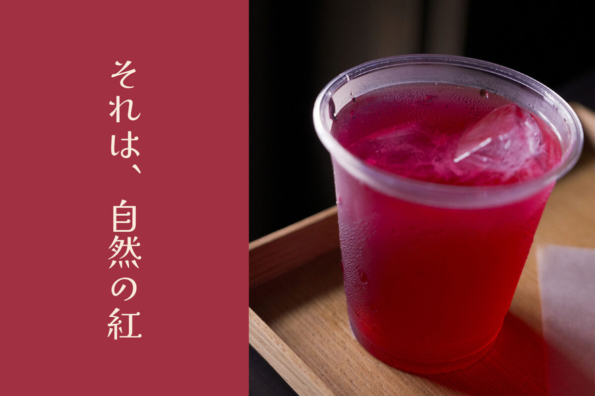夏の大定番<br />
《 赤紫蘇ジュース 》好評です！！ 